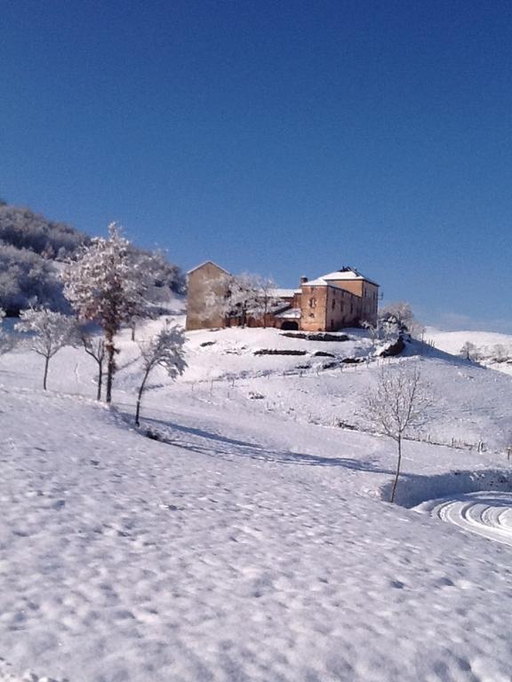 Domaine Sermet Bed & Breakfast Calmels-et-le-Viala Bagian luar foto